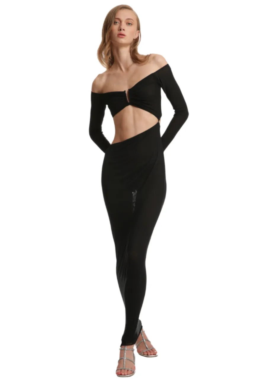 Black Swan Net Dress