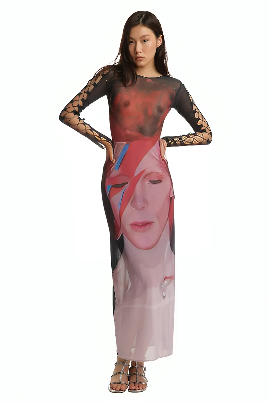 David Bowie Net Dress