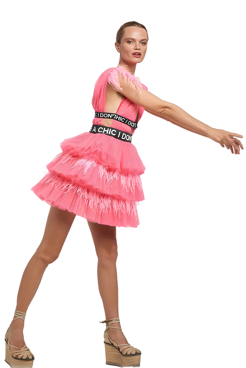 Pink Flou Tulle Mini Dress